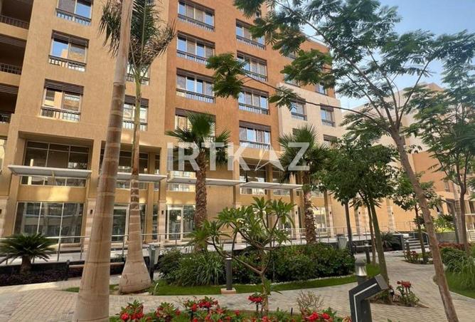 8093721 - Property Image 2
