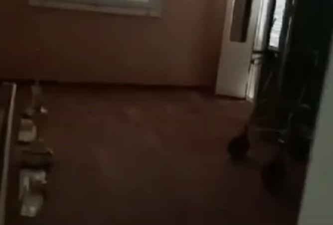 8352447 - Property Image 2