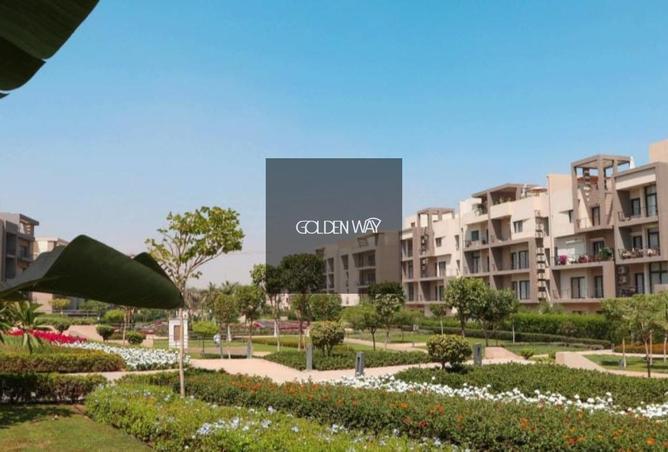 8538025 - Property Image 3