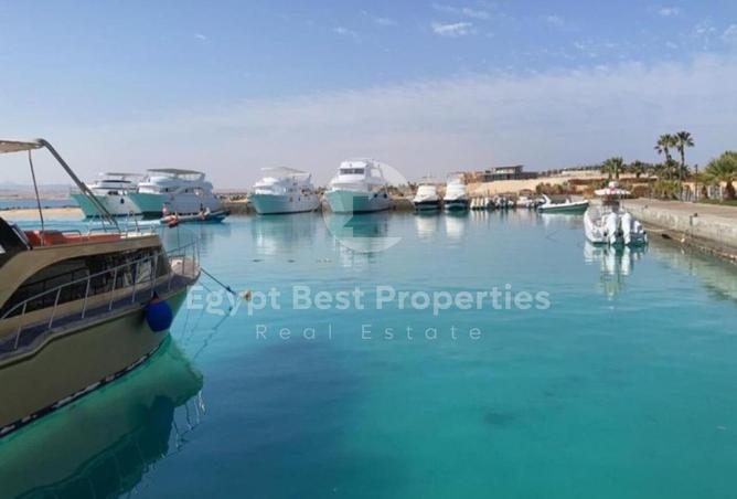 8038447 - Property Image 3