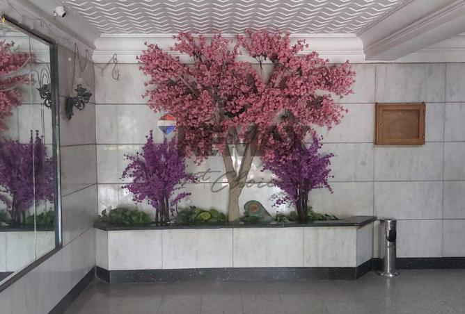 7880490 - Property Image 3