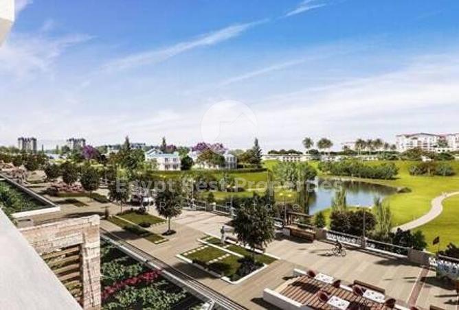 8420251 - Property Image 3