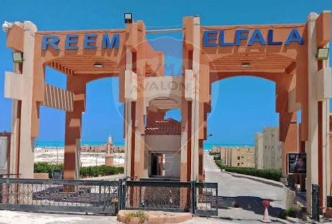 5841823 - صورة العقار 2