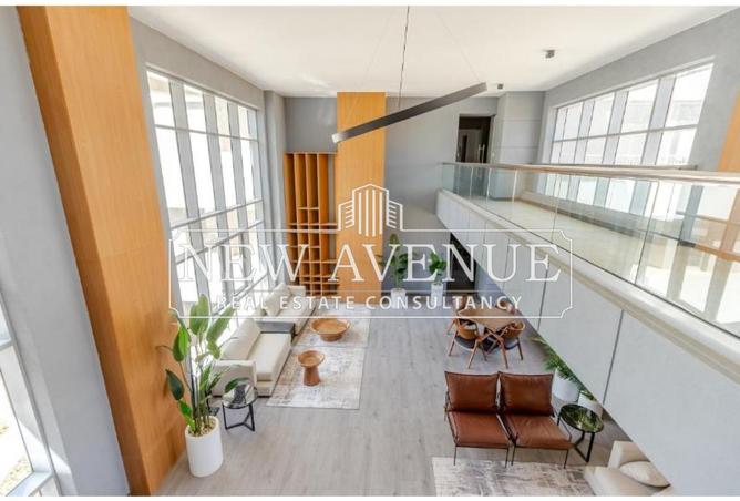 8121348 - Property Image 3