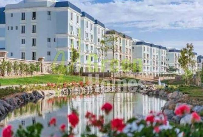 8397828 - Property Image 3