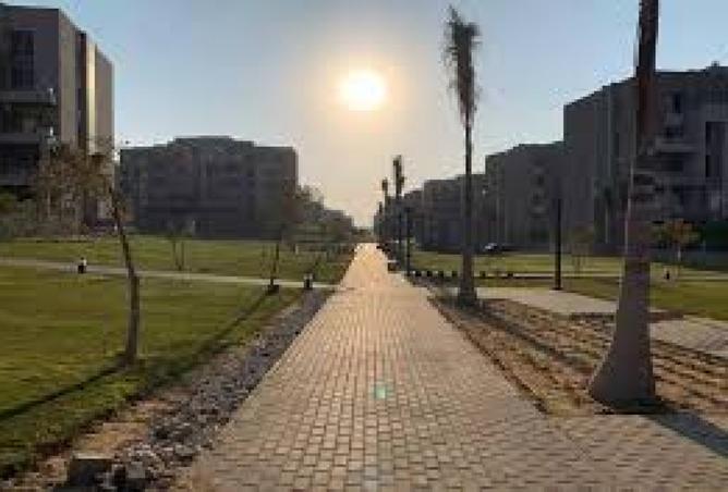 8488139 - Property Image 3