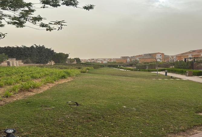7988904 - صورة العقار 3