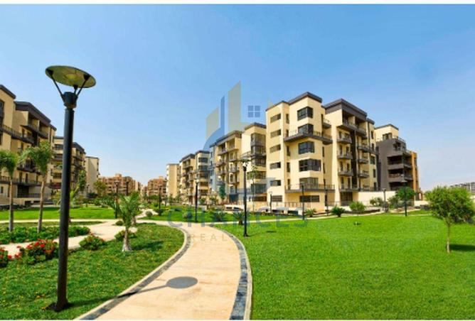 7921519 - صورة العقار 3