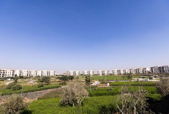 8031206 - صورة العقار 3