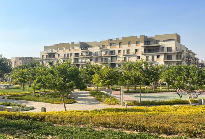 8353423 - Property Image 3