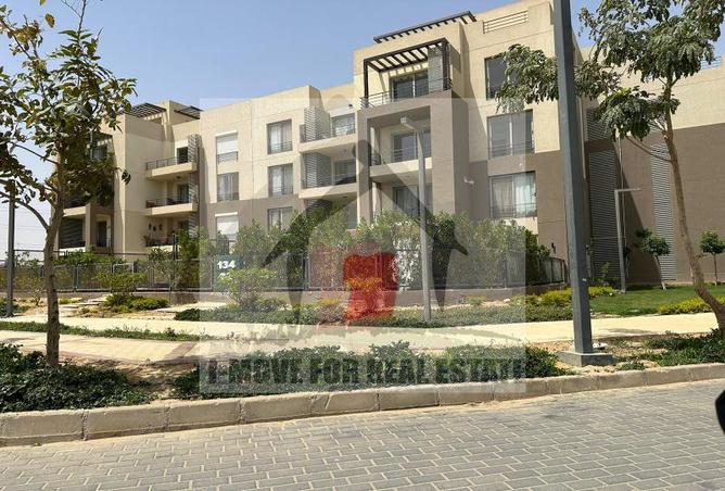 7783426 - Property Image 2