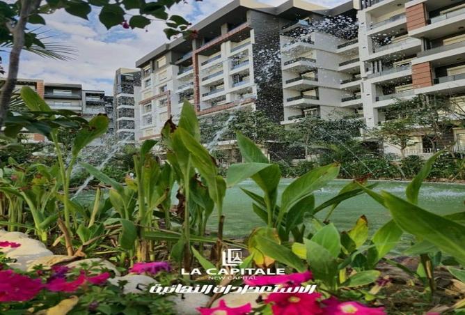 8537801 - Property Image 3