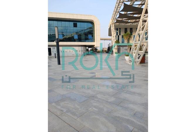 8394976 - Property Image 3