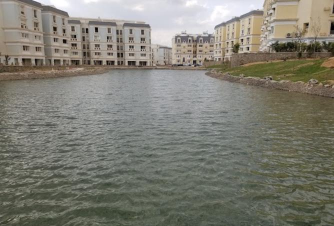 8044100 - صورة العقار 3