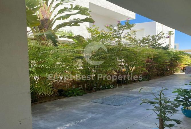 8038906 - Property Image 2