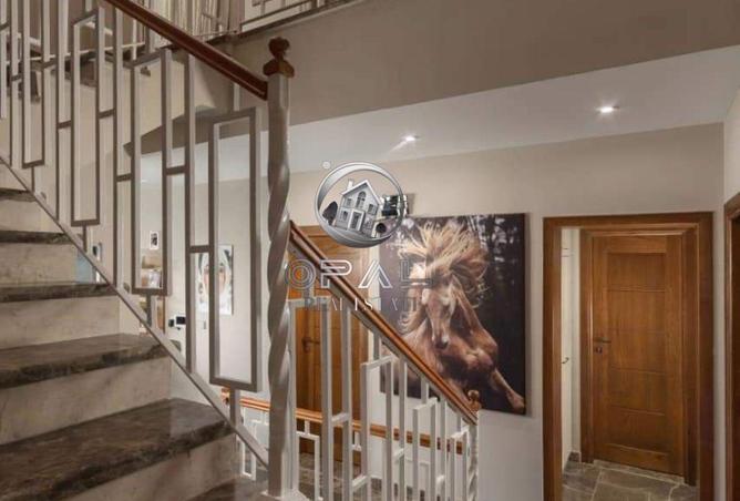 8271339 - صورة العقار 3