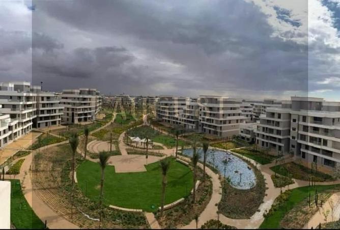 8428322 - صورة العقار 2