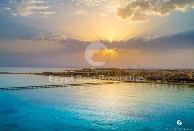 7916990 - صورة العقار 3