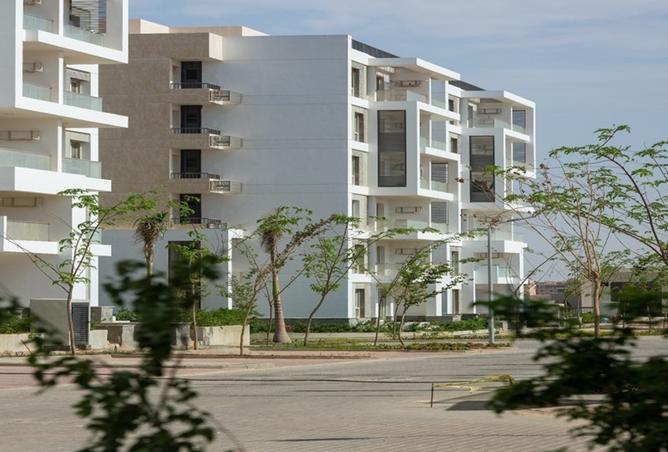 8311187 - صورة العقار 3