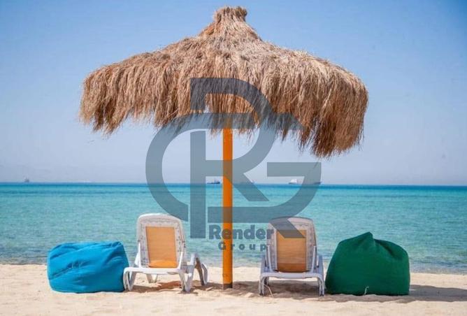 8353489 - Property Image 3