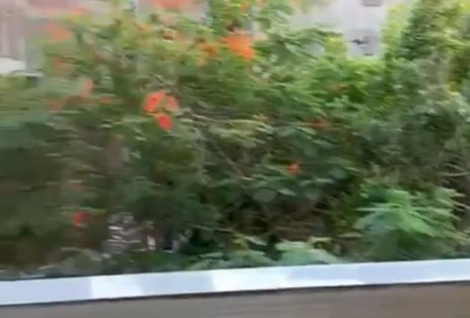 8007445 - صورة العقار 3