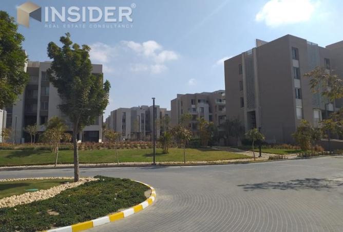 8244169 - Property Image 3