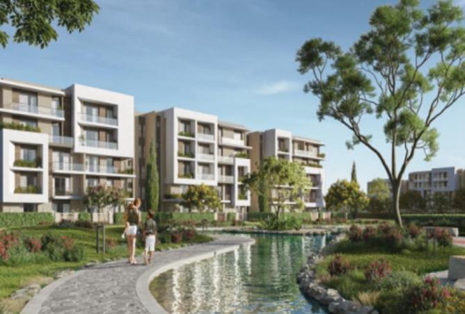 8458326 - Property Image 3