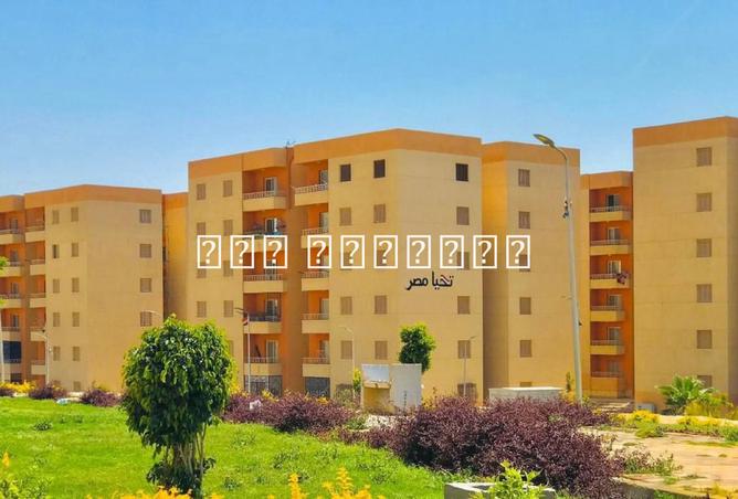 8150216 - الصورة الرئيسية للعقار