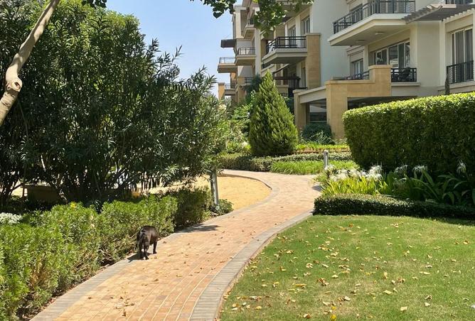 7914146 - صورة العقار 3