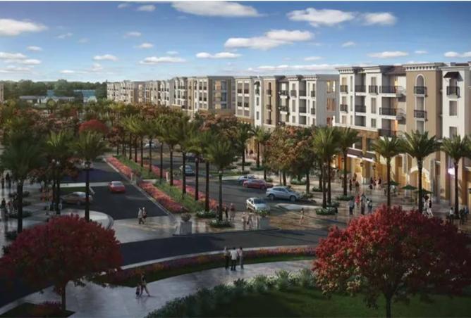 8469128 - Property Image 3