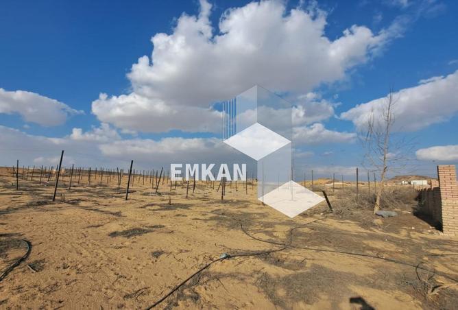 8446117 - Property Image 3