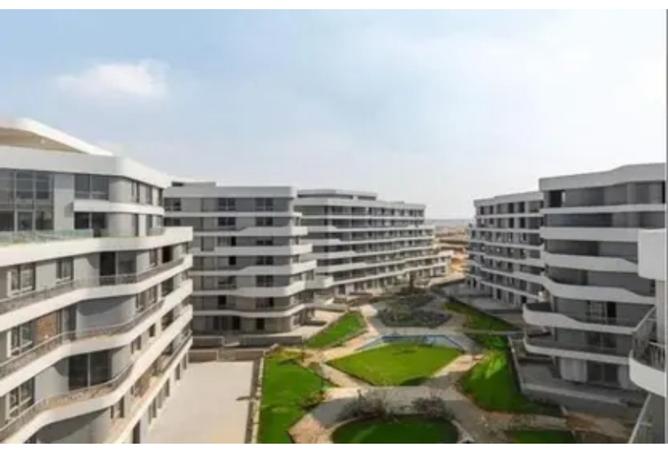 8138083 - Property Image 2