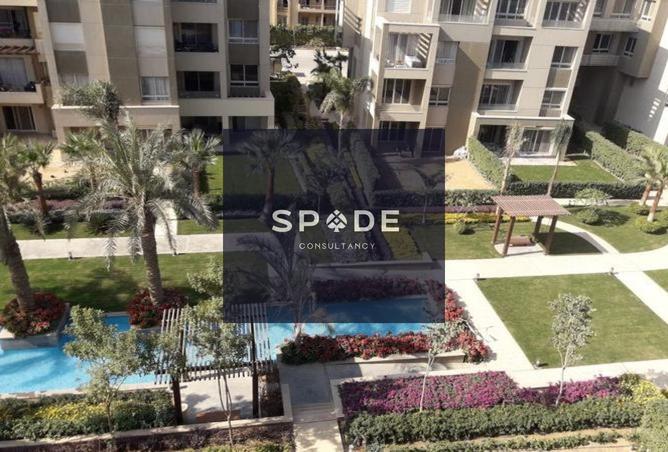 8171616 - Property Image 2