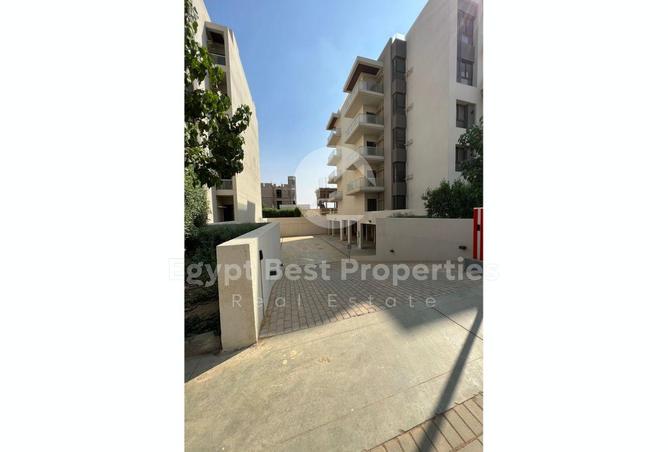 7961620 - الصورة الرئيسية للعقار