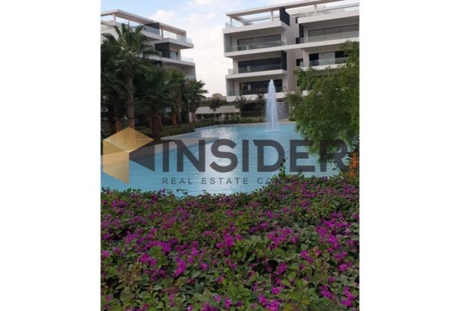 8134474 - Property Image 2