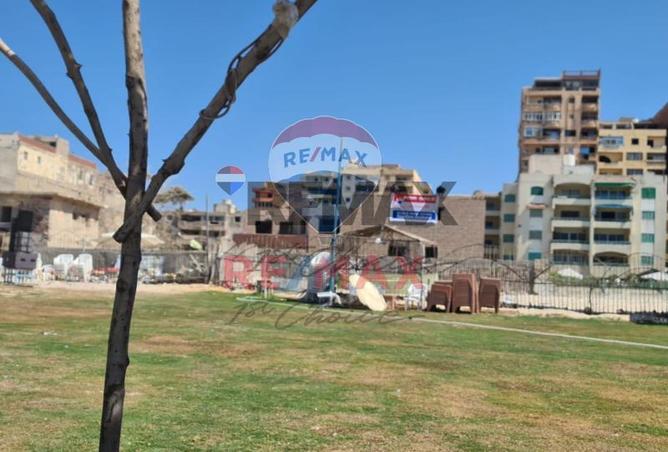 8250800 - Property Image 2