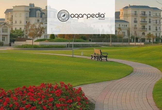 8003799 - Property Image 3