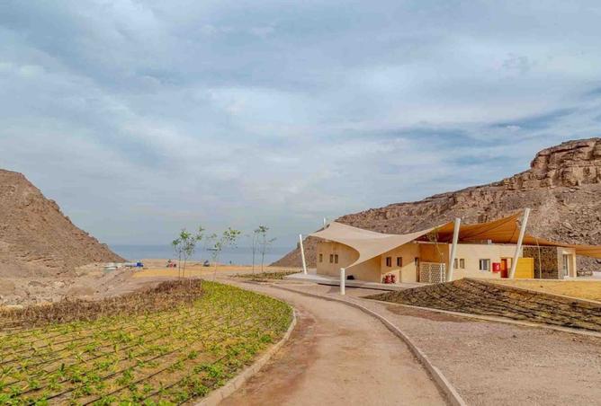 8557636 - صورة العقار 3