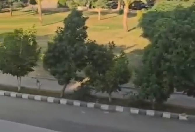 8169026 - صورة العقار 3