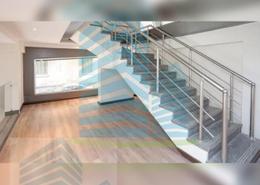 Full Floor - 2 bathrooms for للايجار in Ahmed Shawky St. - Sidi Gaber - Hay Sharq - Alexandria