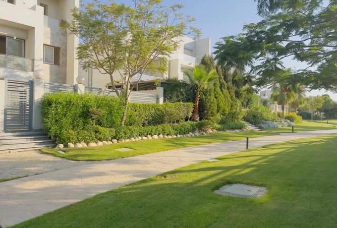 8294053 - صورة العقار 3