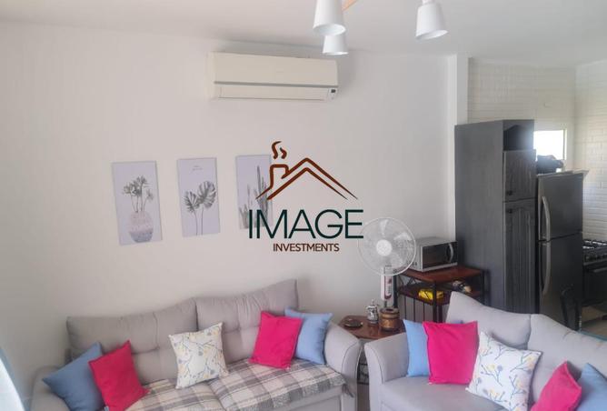 8426369 - Property Image 3