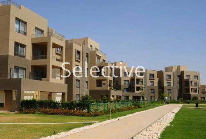 8049784 - Property Image 2