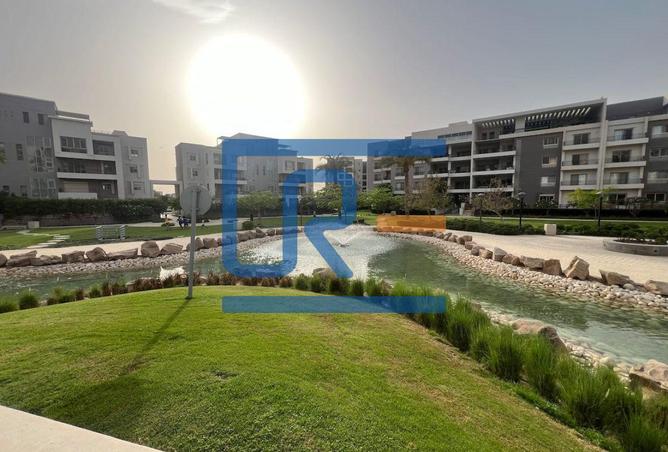 8016741 - صورة العقار 2