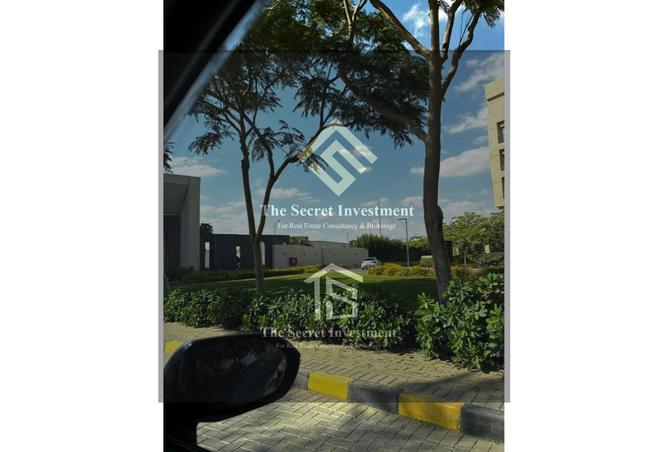 8507372 - Property Image 2