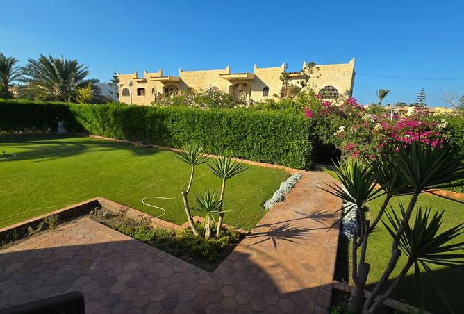 8008346 - Property Image 3