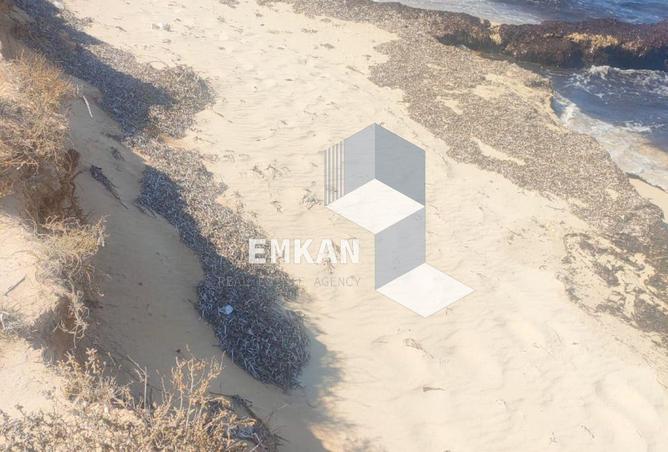 8530657 - Property Image 3