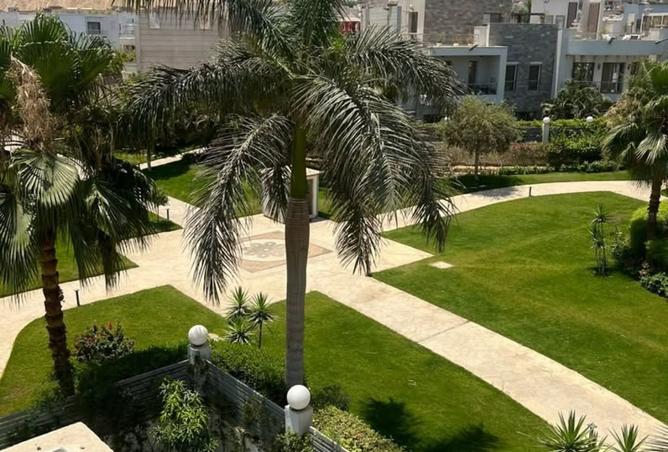 8115021 - صورة العقار 3