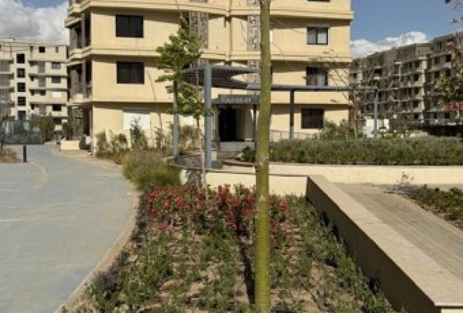 8244188 - صورة العقار 2