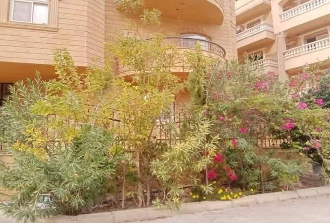 8336041 - Property Image 2